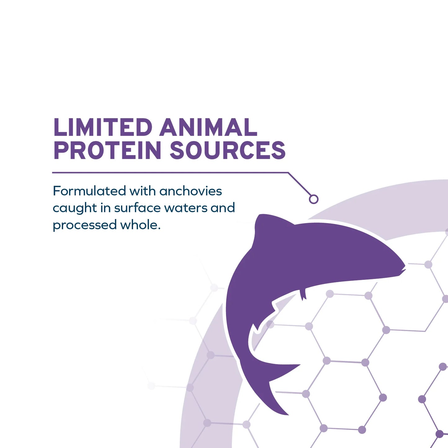 Forza10 DailyPro Sensitive Skin Medium & Large Breed Grain-Free Wild Caught Anchovy