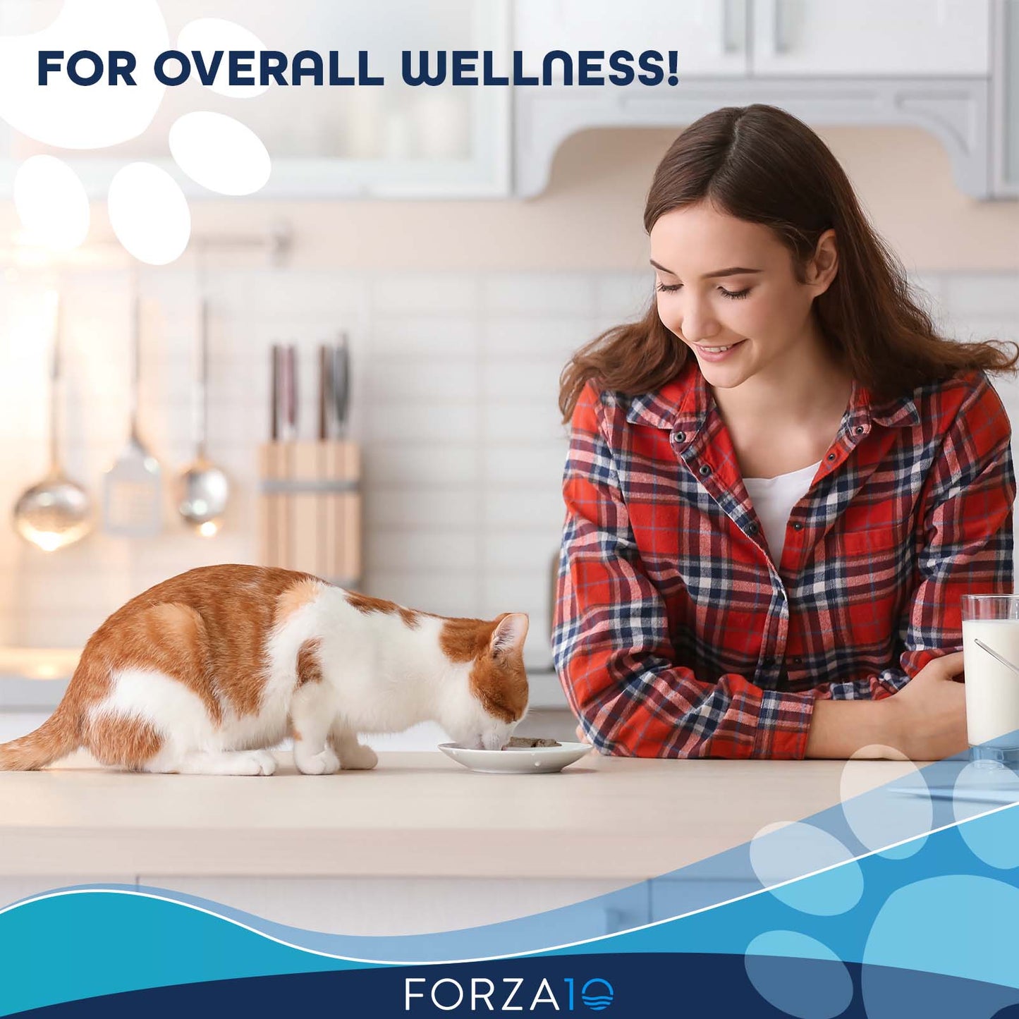 Forza10 Nutraceutic Actiwet Hypo Icelandic Fish Canned Cat Food