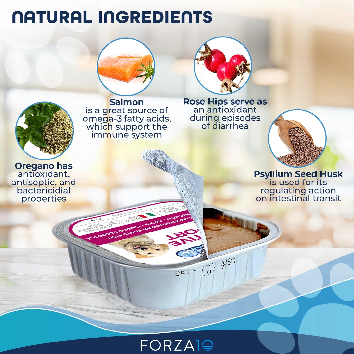 Forza10 Nutraceutic Actiwet Digestive Support Icelandic Fish Recipe Canned Dog Food