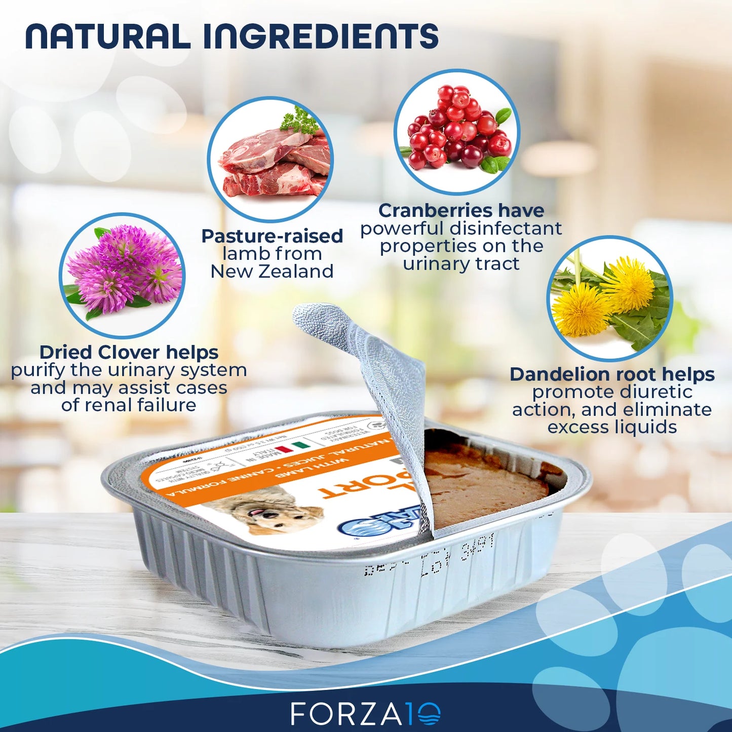 Forza10 Nutraceutic Actiwet Renal Support Wet Dog Food