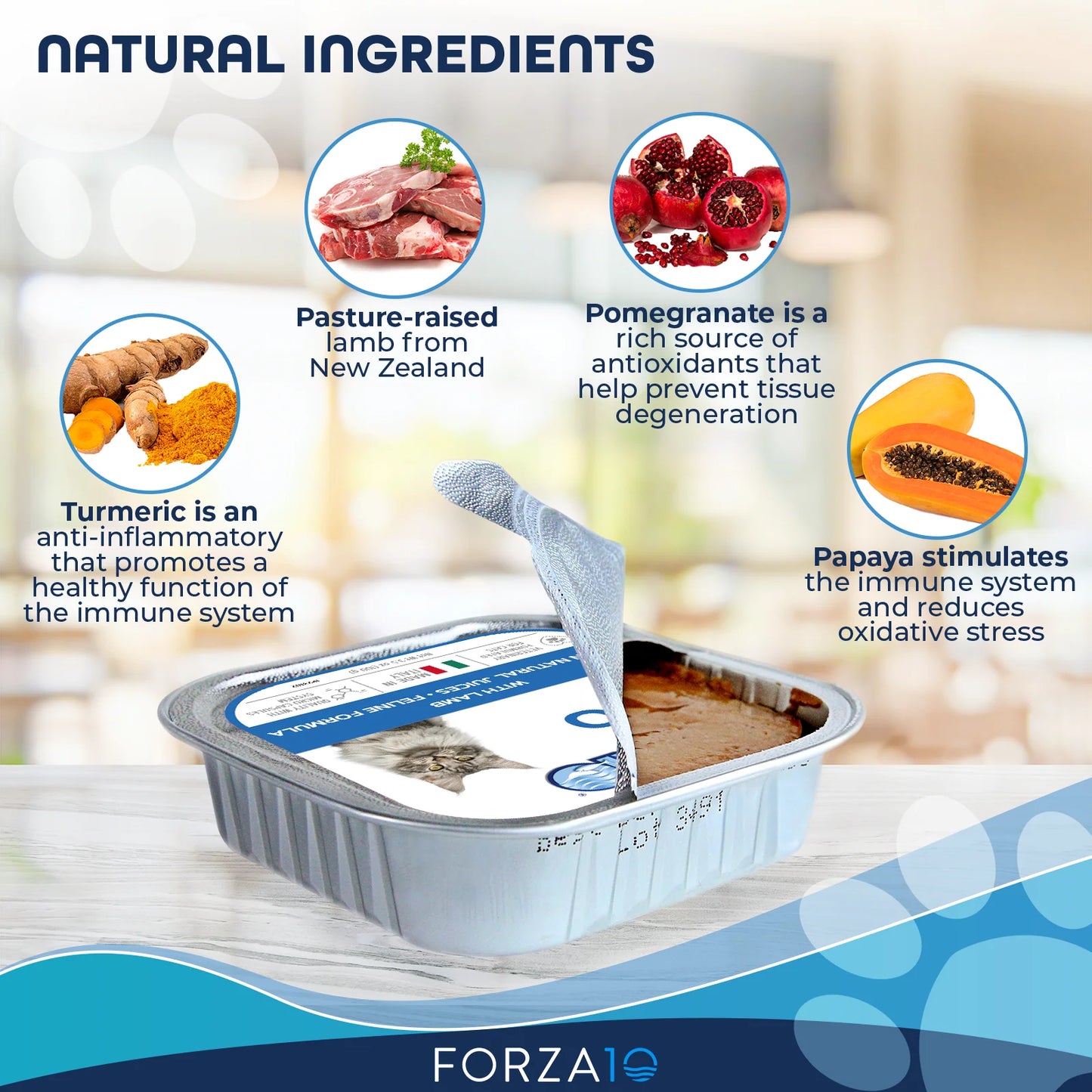 Forza10 Nutraceutic Actiwet Hypo Lamb Canned Cat Food