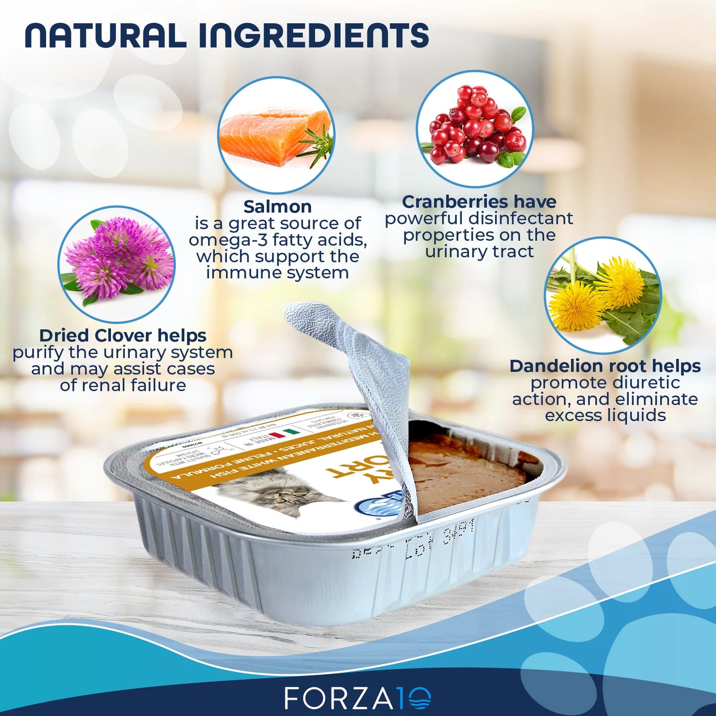 Forza10 Nutraceutic Actiwet Urinary Support Icelandic Fish Recipe Wet Cat Food