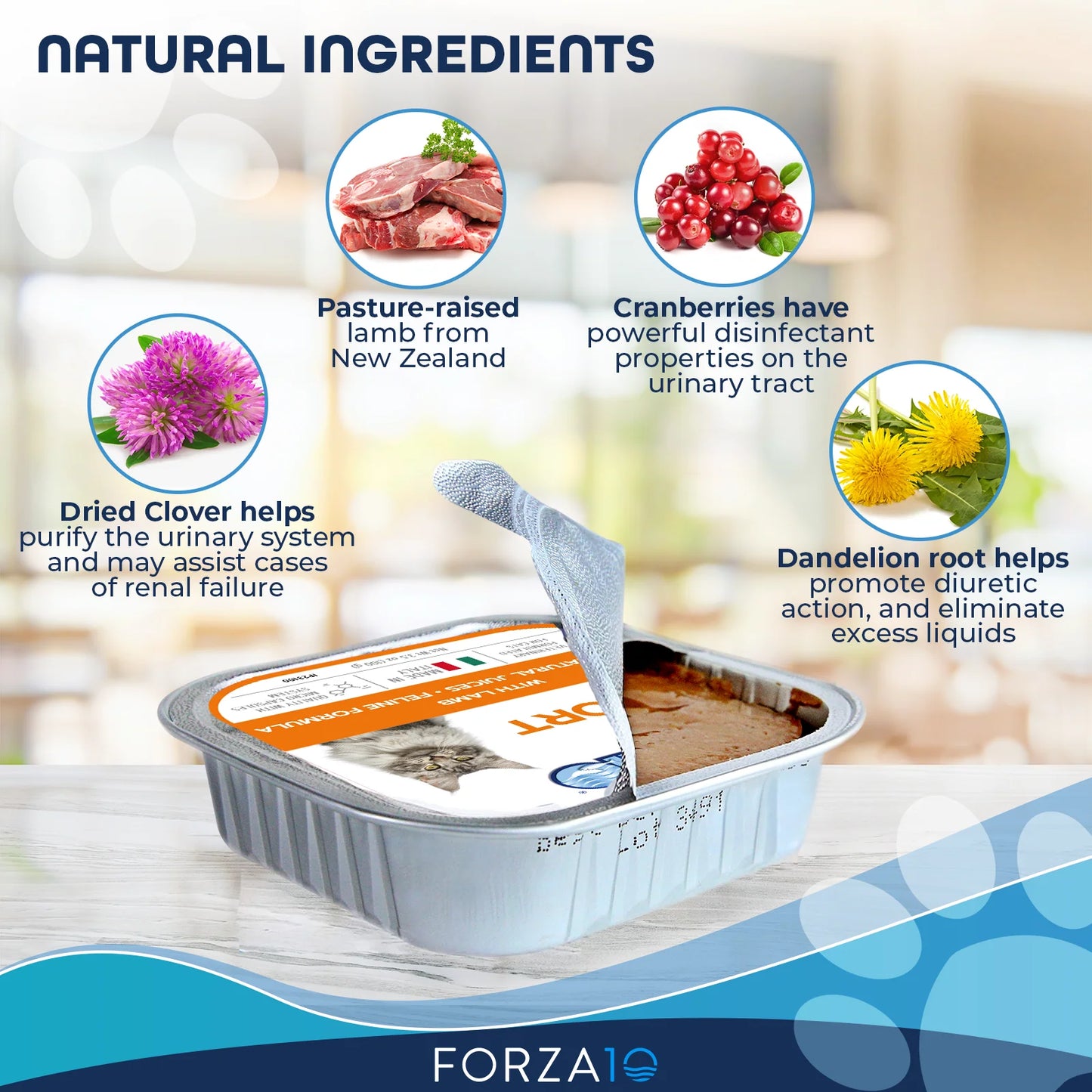 Forza10 Nutraceutic Actiwet Renal Support Wet Cat Food