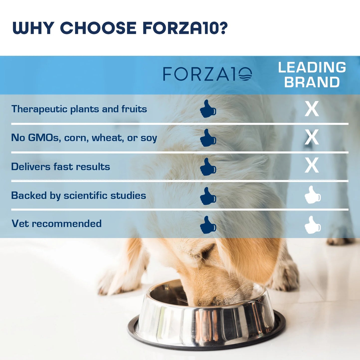 Forza10 Nutraceutic Actiwet Digestive Support Icelandic Fish Recipe Canned Dog Food