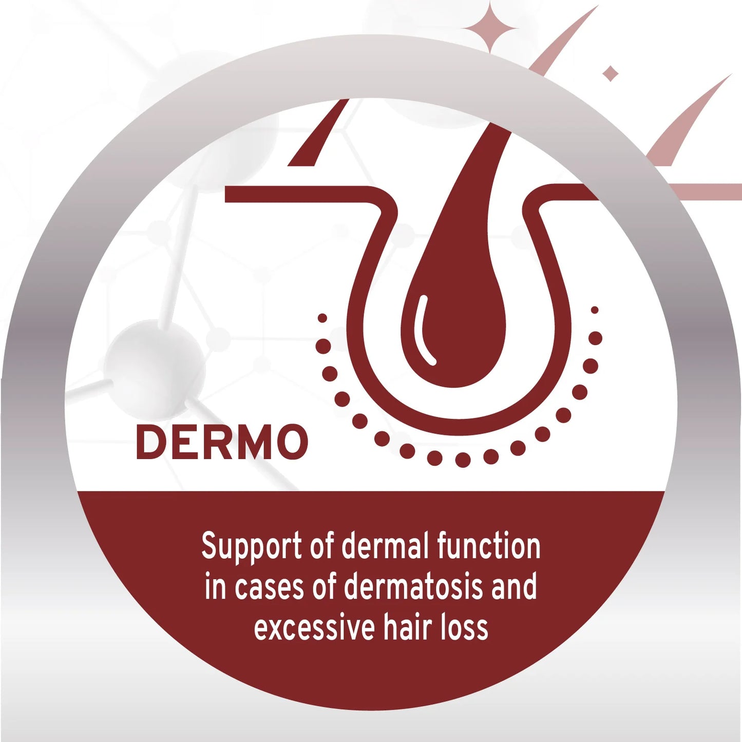 Forza10 Nutraceutic Active Dermo Support Dog Food