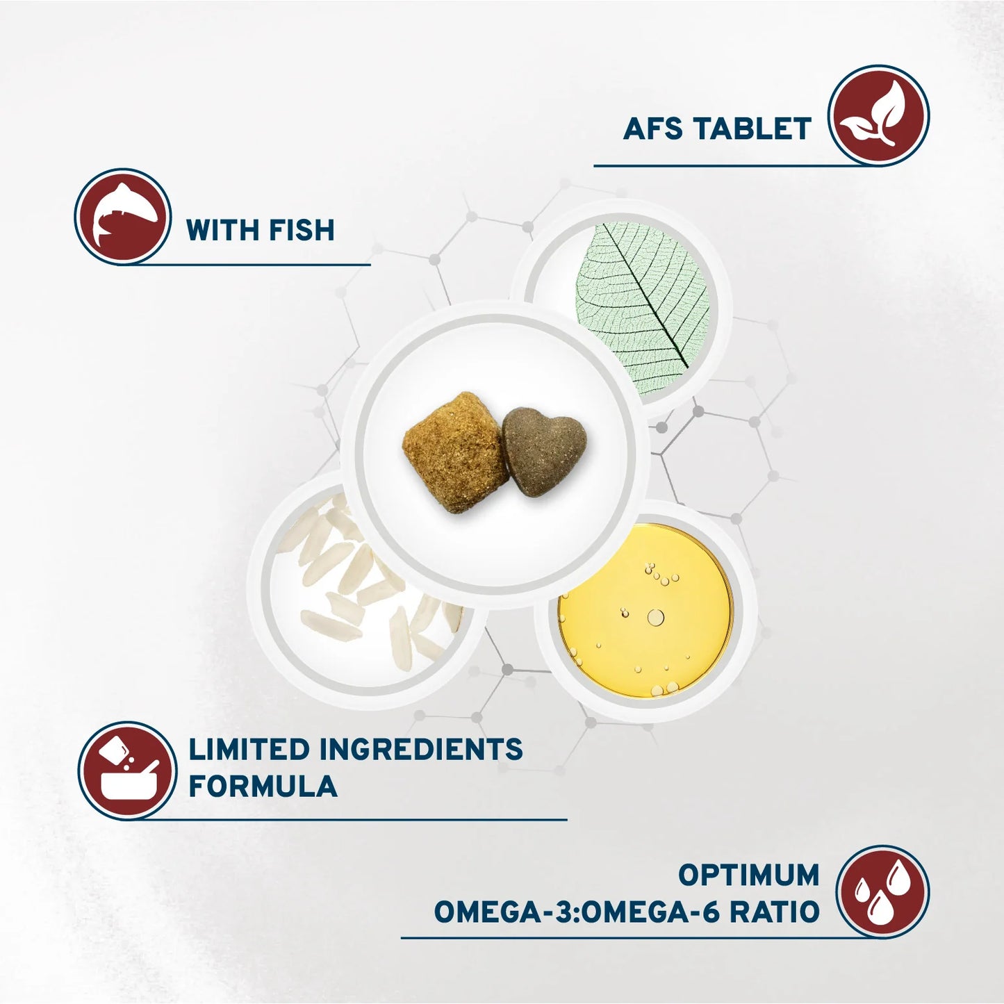 Forza10 Nutraceutic Active Dermo Support Dog Food