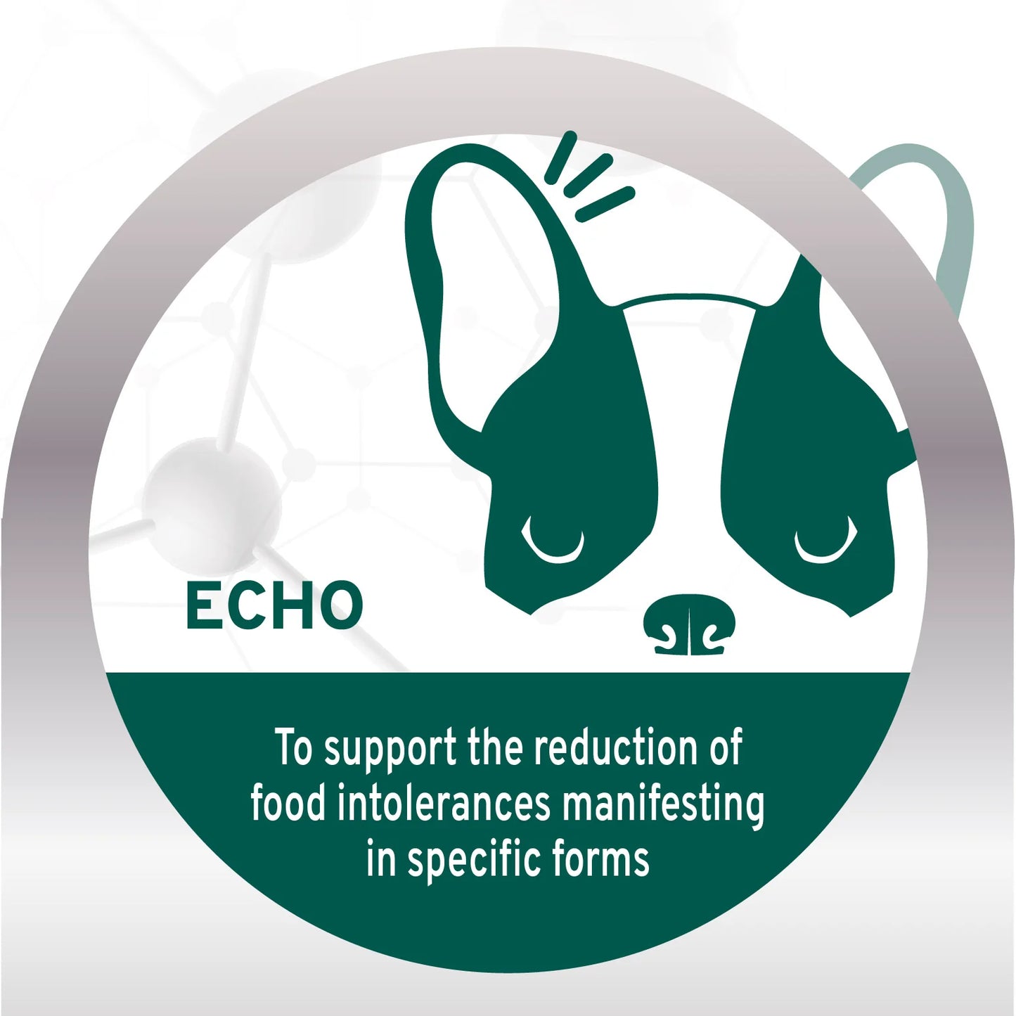 Forza10 Nutraceutic Active Echo Support Diet Dry Dog Food