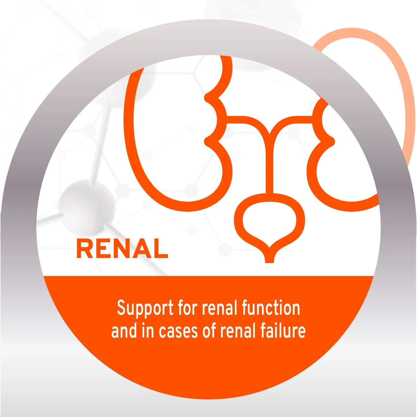 Forza10 Nutraceutic Active Kidney Renal Support Dry Dog Food