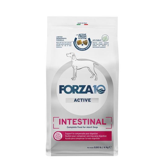 Forza10 Nutraceutic Active Intestinal Support Diet Dry Dog Food