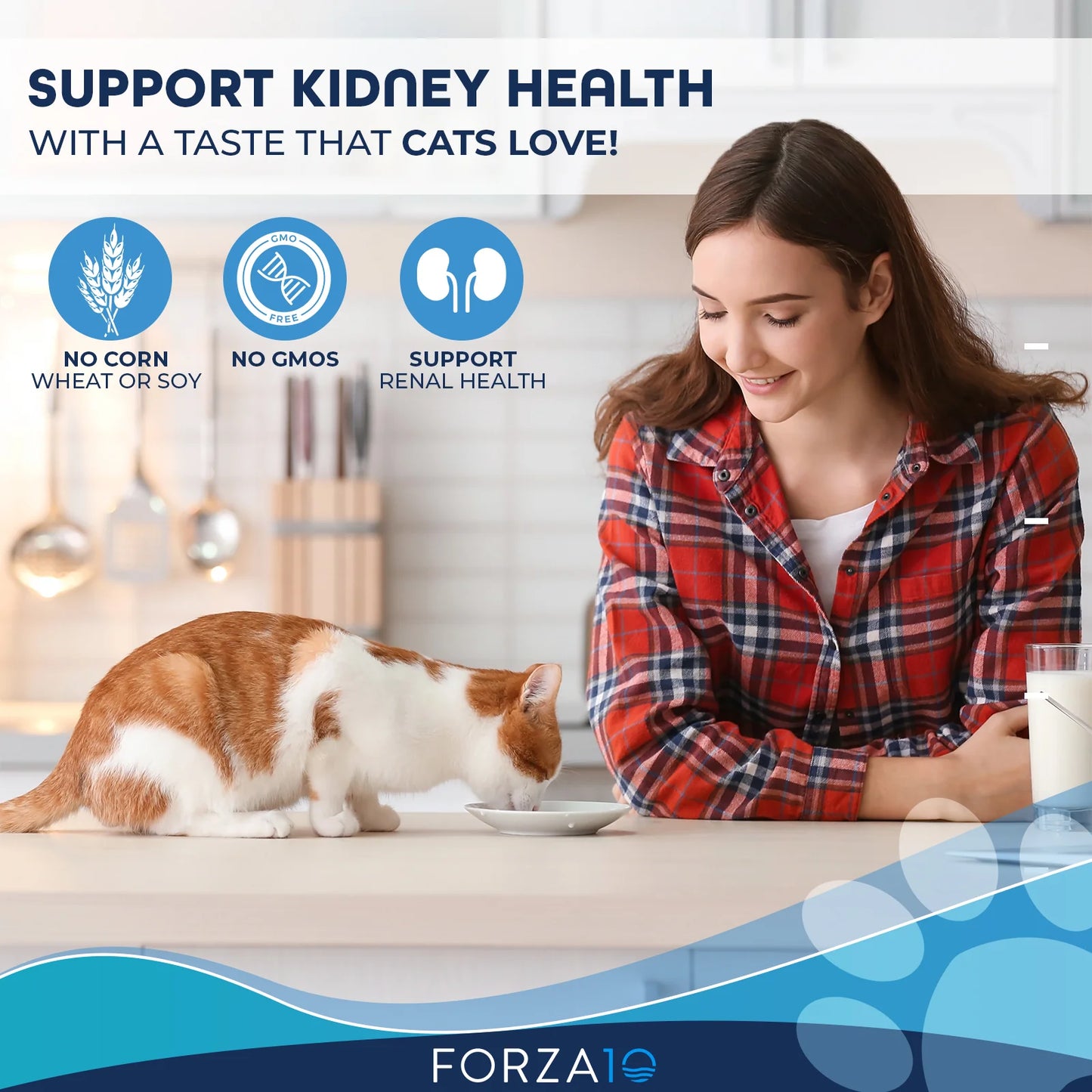 Forza10 Nutraceutic Actiwet Renal Support Wet Cat Food