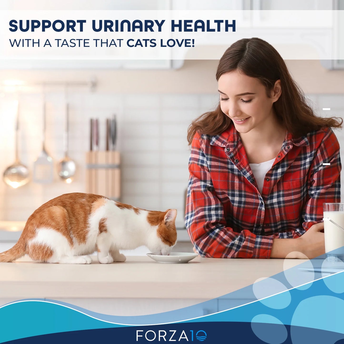 Forza10 Nutraceutic Actiwet Urinary Support Icelandic Fish Recipe Wet Cat Food