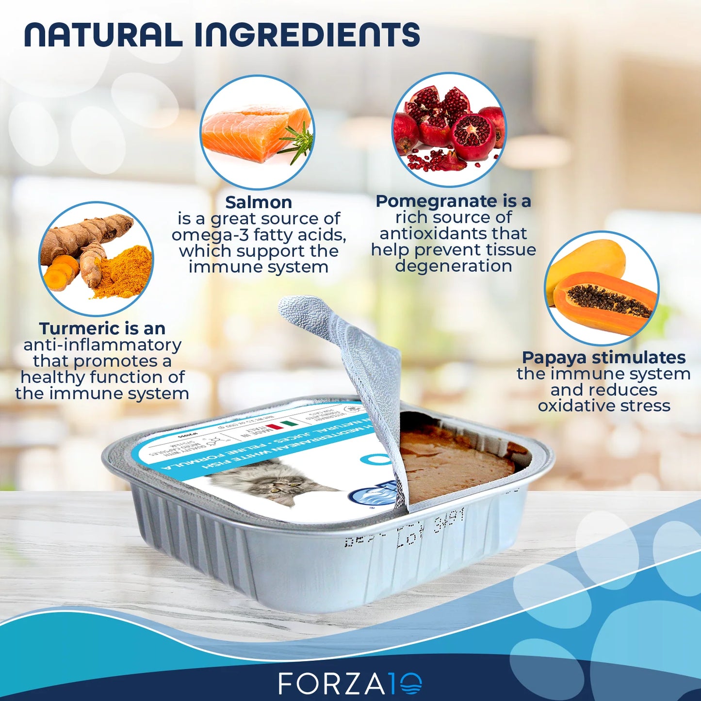Forza10 Nutraceutic Actiwet Hypo Icelandic Fish Canned Cat Food