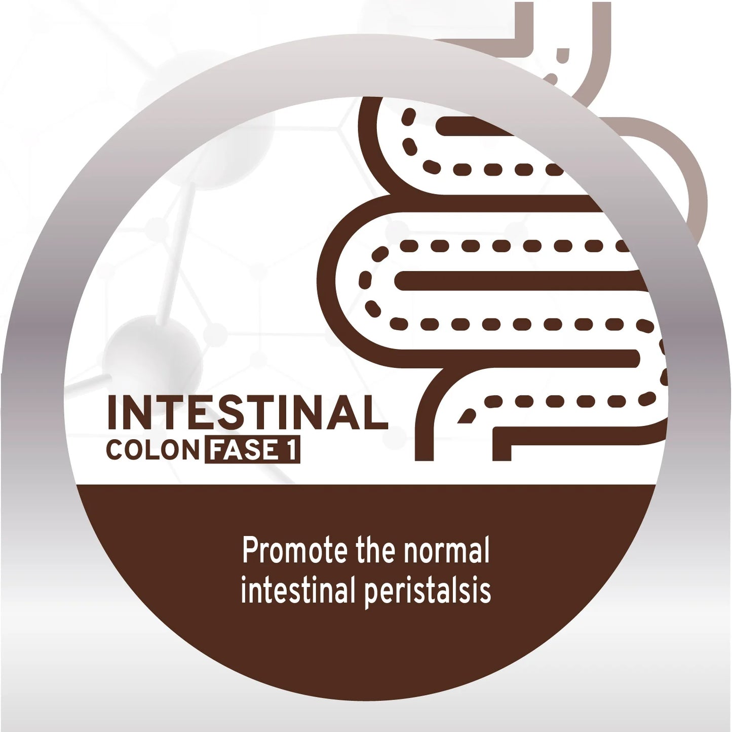 Forza10 Nutraceutic Active Colon Diet Phase 1 Dry Dog
