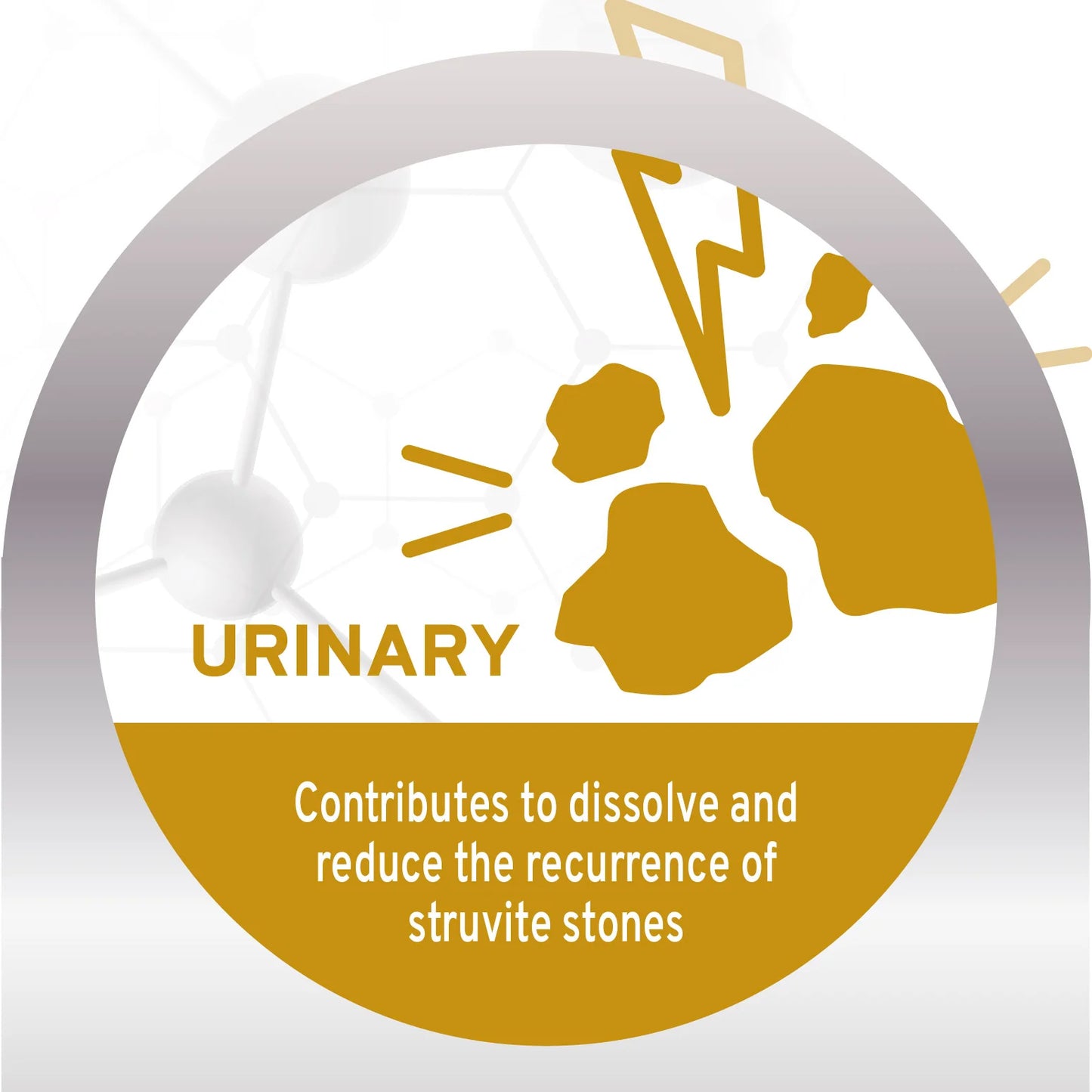 FORZA10 Nutraceutic Active Urinary Dry Dog Food